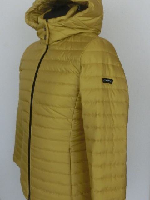 AN LENOX - senape